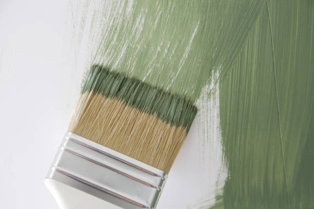 Best Mold Prevention Services  in Leawood, KS