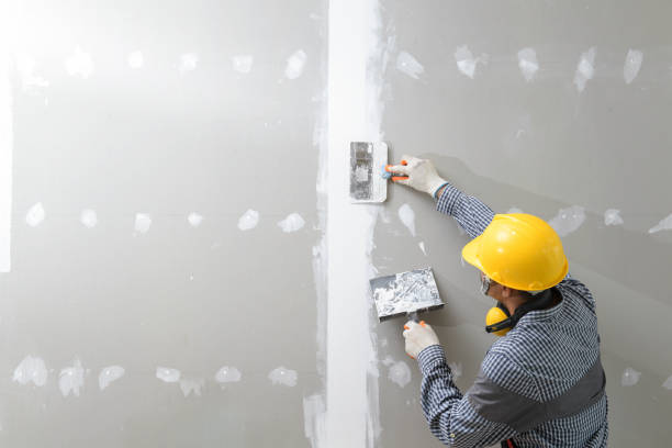 Best Industrial Mold Remediation  in Leawood, KS