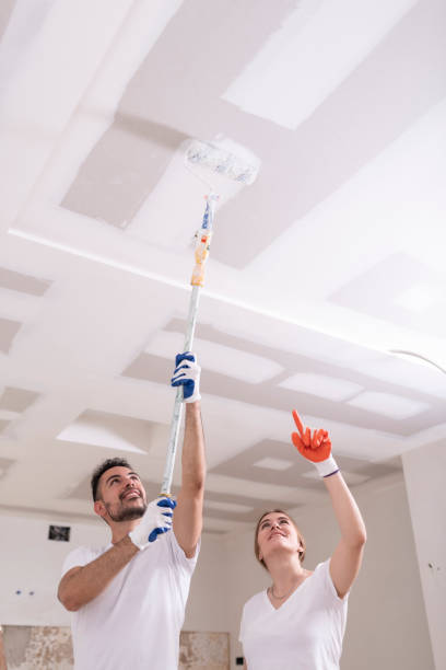 Best Mold Removal for HVAC Installations  in Leawood, KS