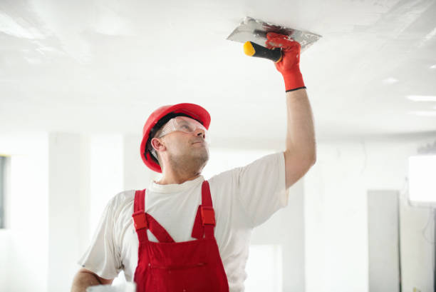 Best Forensic Mold Investigation  in Leawood, KS