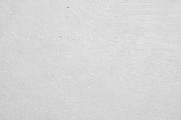 Best Mold Damage Restoration  in Leawood, KS