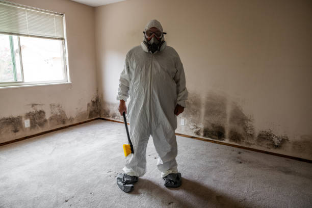 Best Mold Remediation for Rental Properties  in Leawood, KS