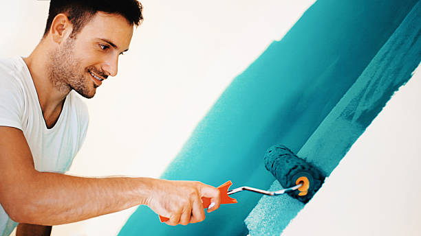 Best Mold Odor Removal Services  in Leawood, KS